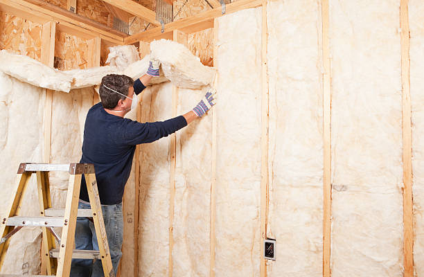 Best Insulation for New Construction  in Benson, UT